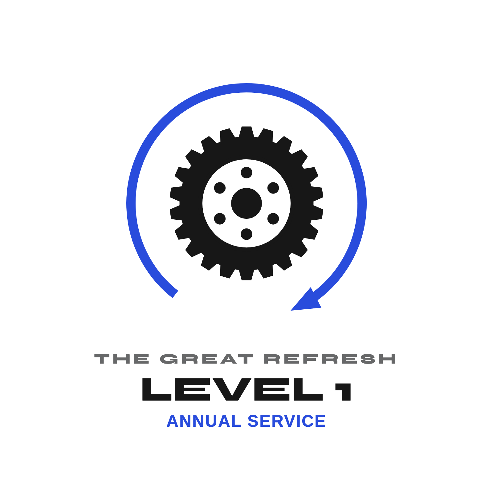 The Great Refresh Level 1 Annual Service for anodized pulley wheels and Kolossos pulleys