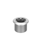 Shimano Crank Arm Fixing Bolt - Long / Raw