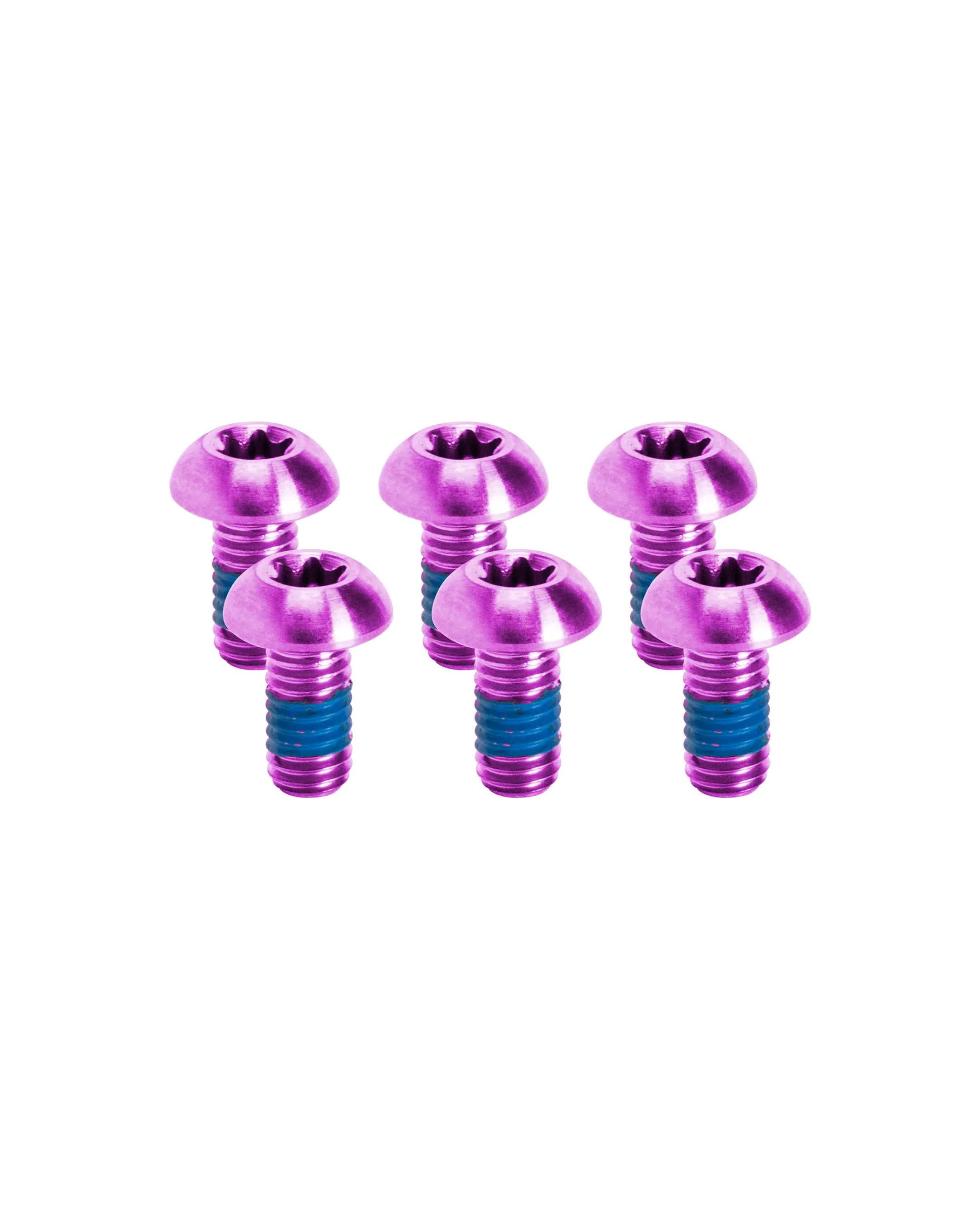 Titanium Bike Disc Brake Rotor Bolts - Purple - FASTENERS