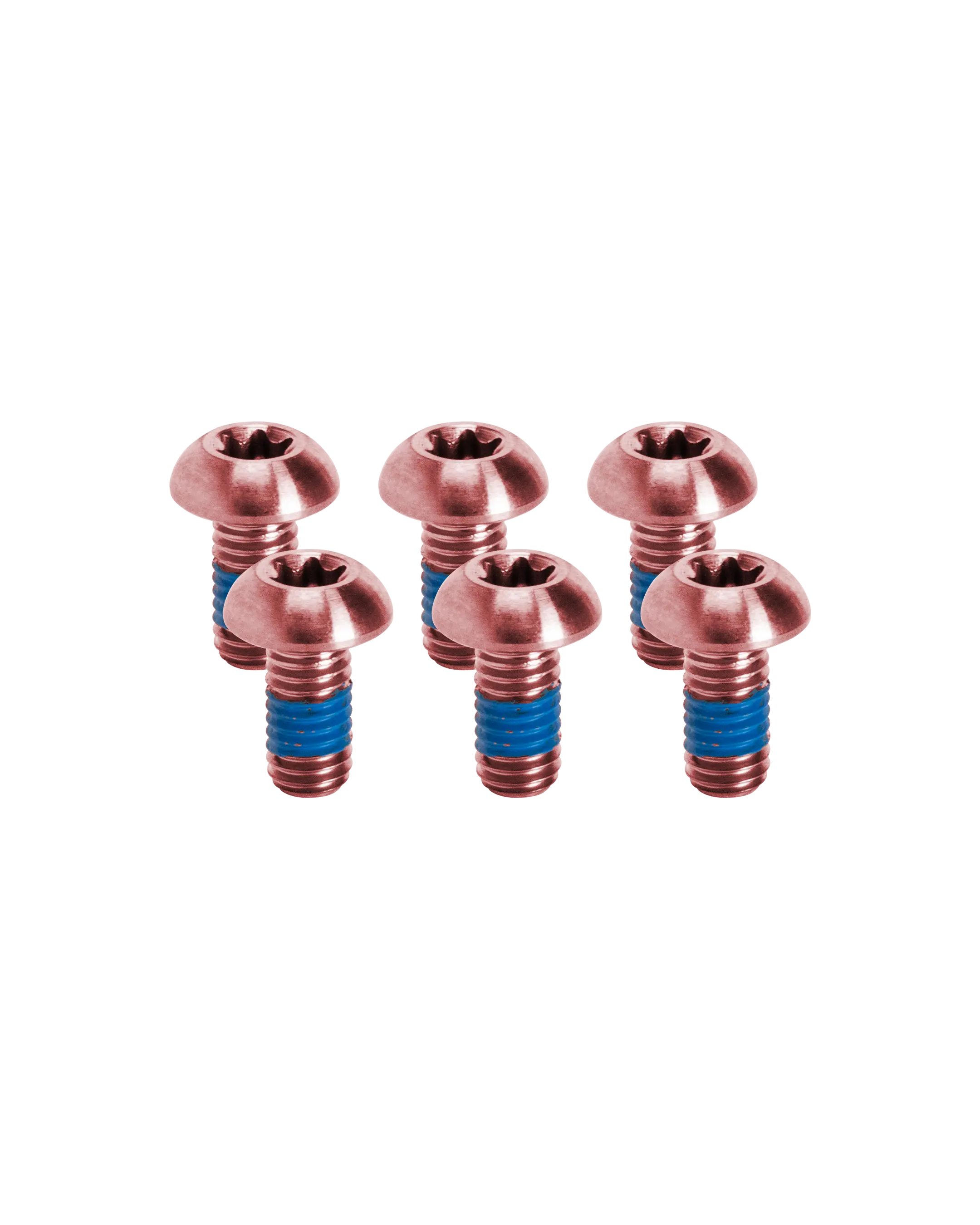 Titanium Bike Disc Brake Rotor Bolts - Rose - FASTENERS