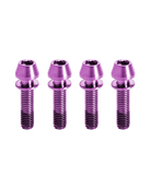 Titanium Bike Stem Bolts - Purple - FASTENERS