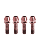 Titanium Bike Stem Bolts - Rose - FASTENERS