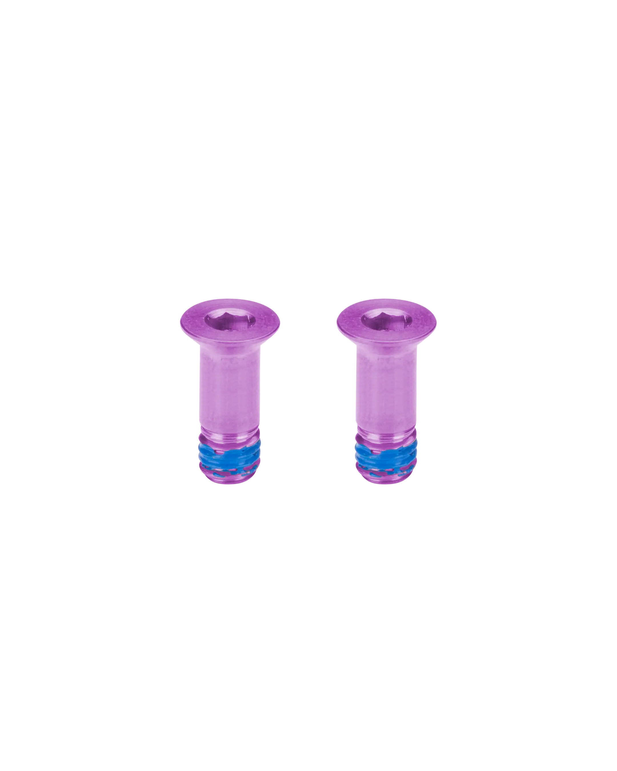 Titanium Pulley Bolts for Sram Eagle Transmission - Purple - FASTENERS