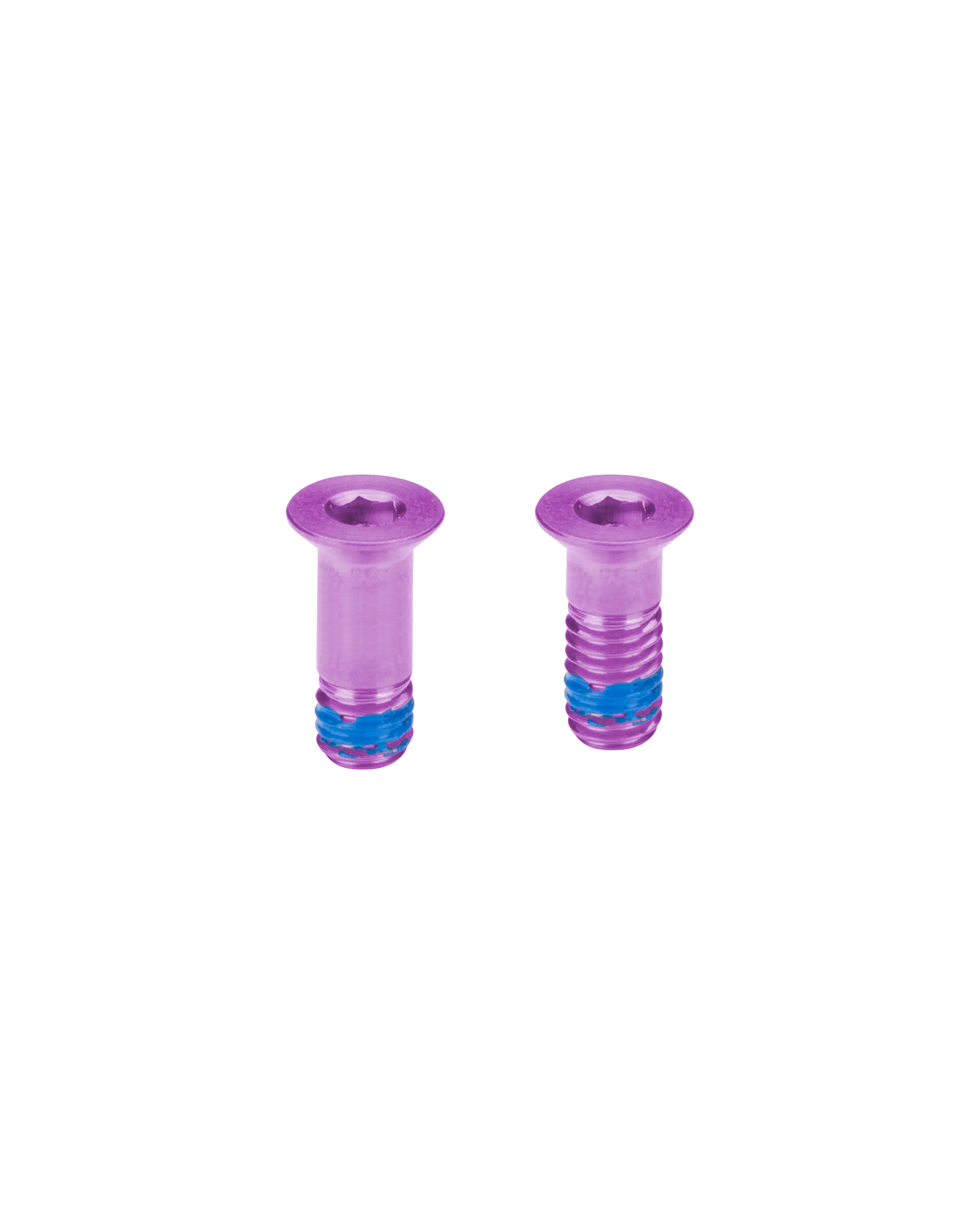 Titanium Sram Eagle Pulley Bolts - Purple - FASTENERS