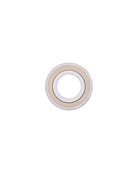 Kogel full ceramic bearing used in the Kolossos Pulsar, ceramic balls running in ceramic races