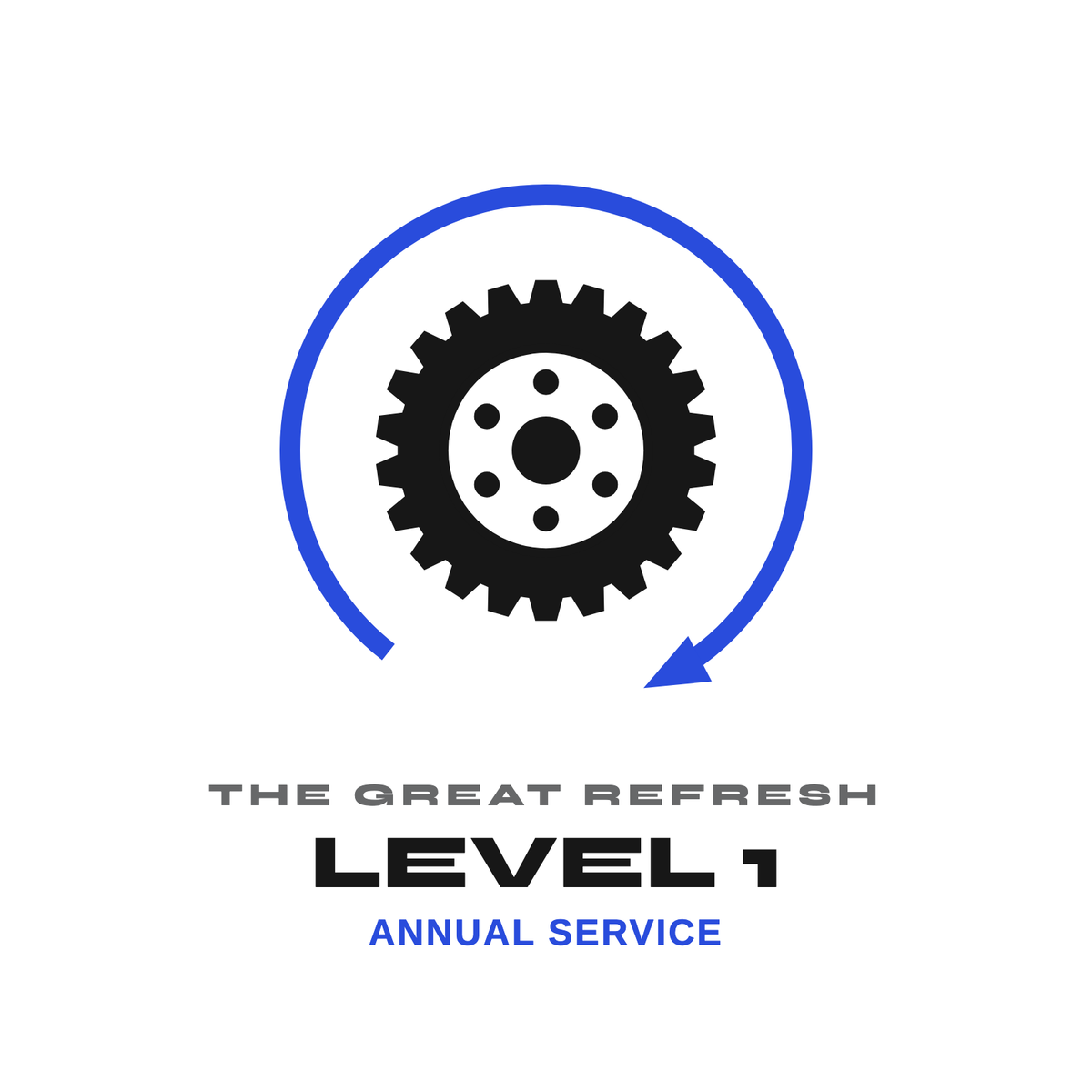 The Great Refresh Level 1 Annual Service for anodized pulley wheels and Kolossos pulleys