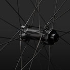 Kogel x OTHR Evrywhr 40 Wheelset - WHEEL BEARINGS