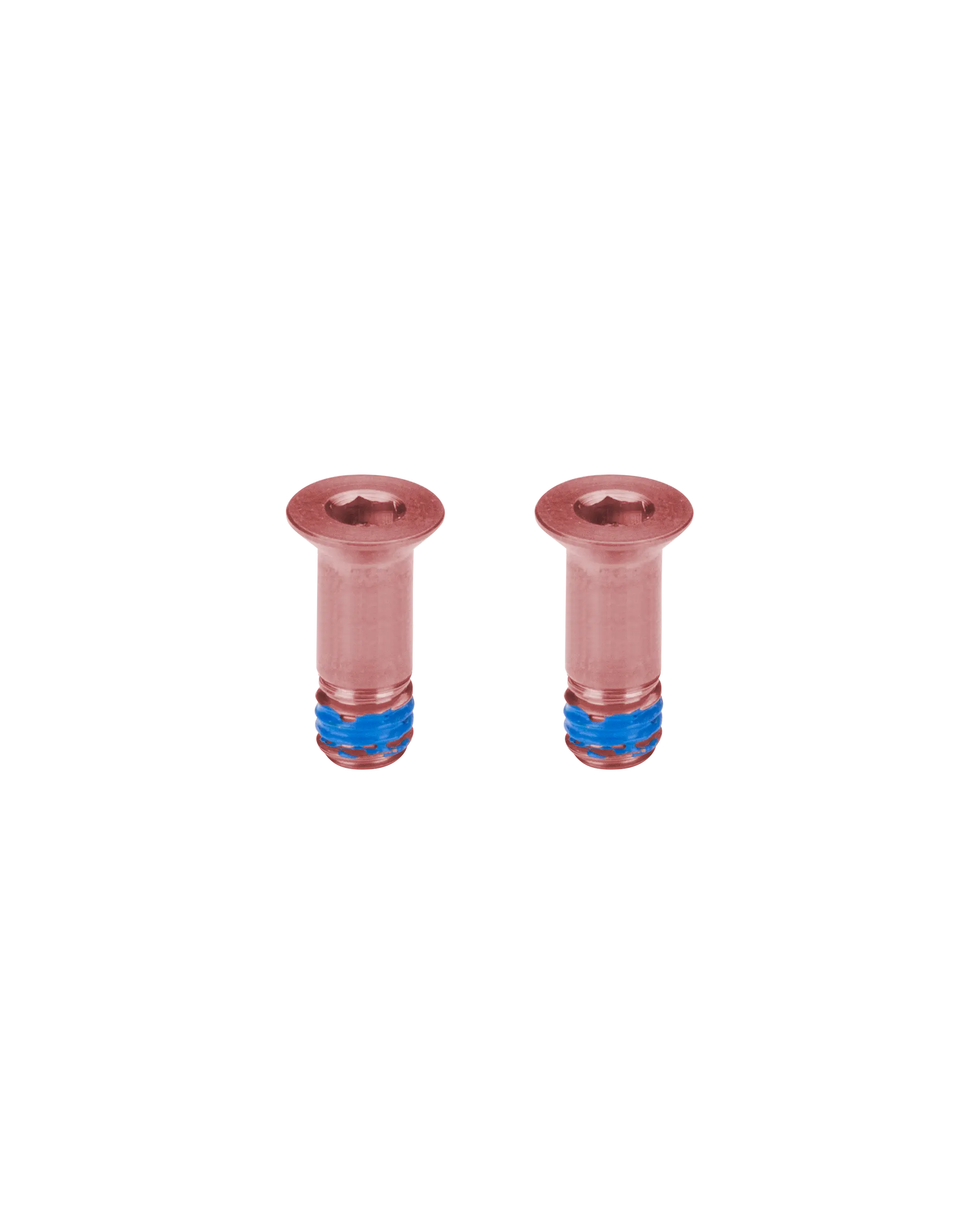 Titanium Pulley Bolts for Sram Eagle Transmission - Rose - FASTENERS